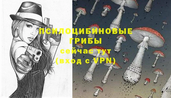 кокс Алексин